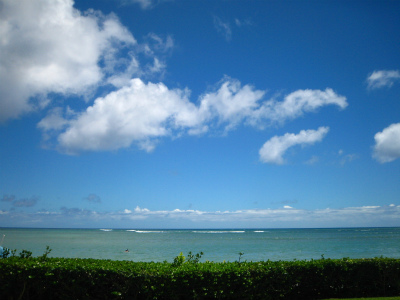 ハワイ(カハラ海).jpg