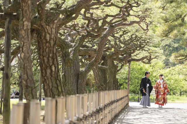 香川県高松市で家族婚をする同じ日に、栗林公園で前撮り、ウェディングフォト撮影をする。
香川県高松市で色打掛の写真を撮る