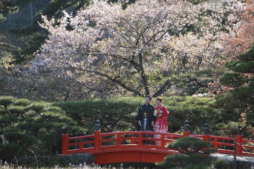 栗林公園桜と新郎新婦.jpg