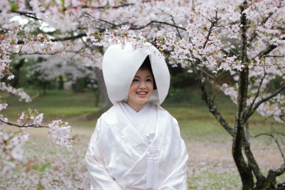 130406sakura-hanayome.jpg