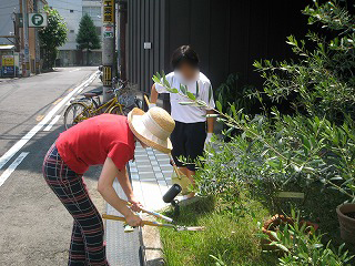 塩江中学職場体験　芝刈１.jpg