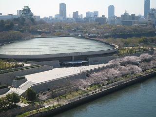 4.7桜と大阪城.jpg