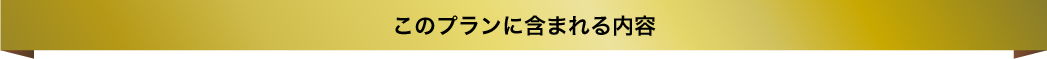 このプランに含まれる内容