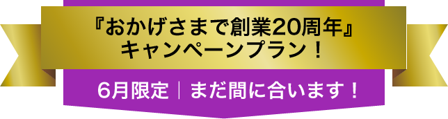 『おかげさまで創業20周年』キャンペーンプラン！／6月限定｜まだ間に合います！