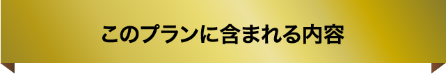 このプランに含まれる内容