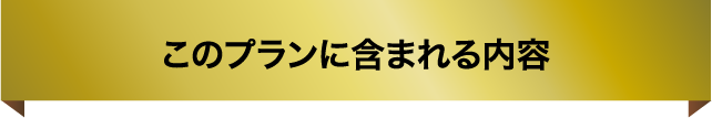 このプランに含まれる内容