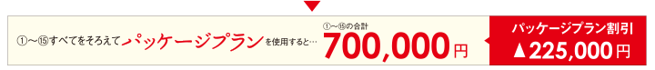 （1）〜（15）すべてをそろえてパッケージプランを使用すると…　（1）〜（15）の合計700,000円　パッケージプラン割引▲225,000円