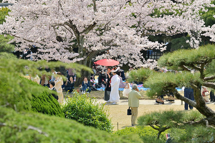 栗林公園　花嫁行列